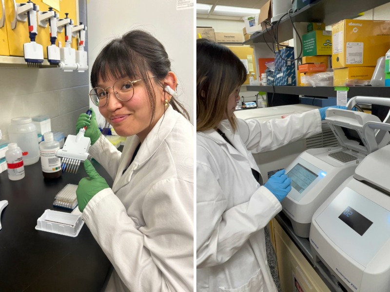 Lavretsky Lab Work