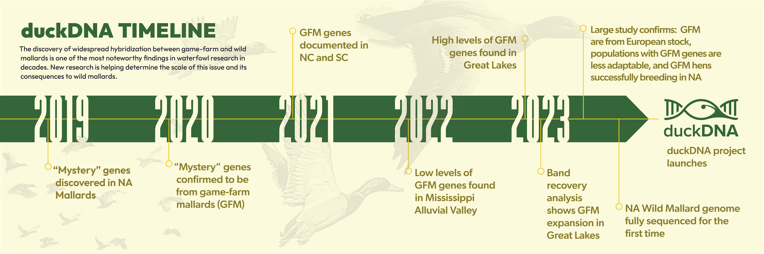 duckDNA Timeline Final.png