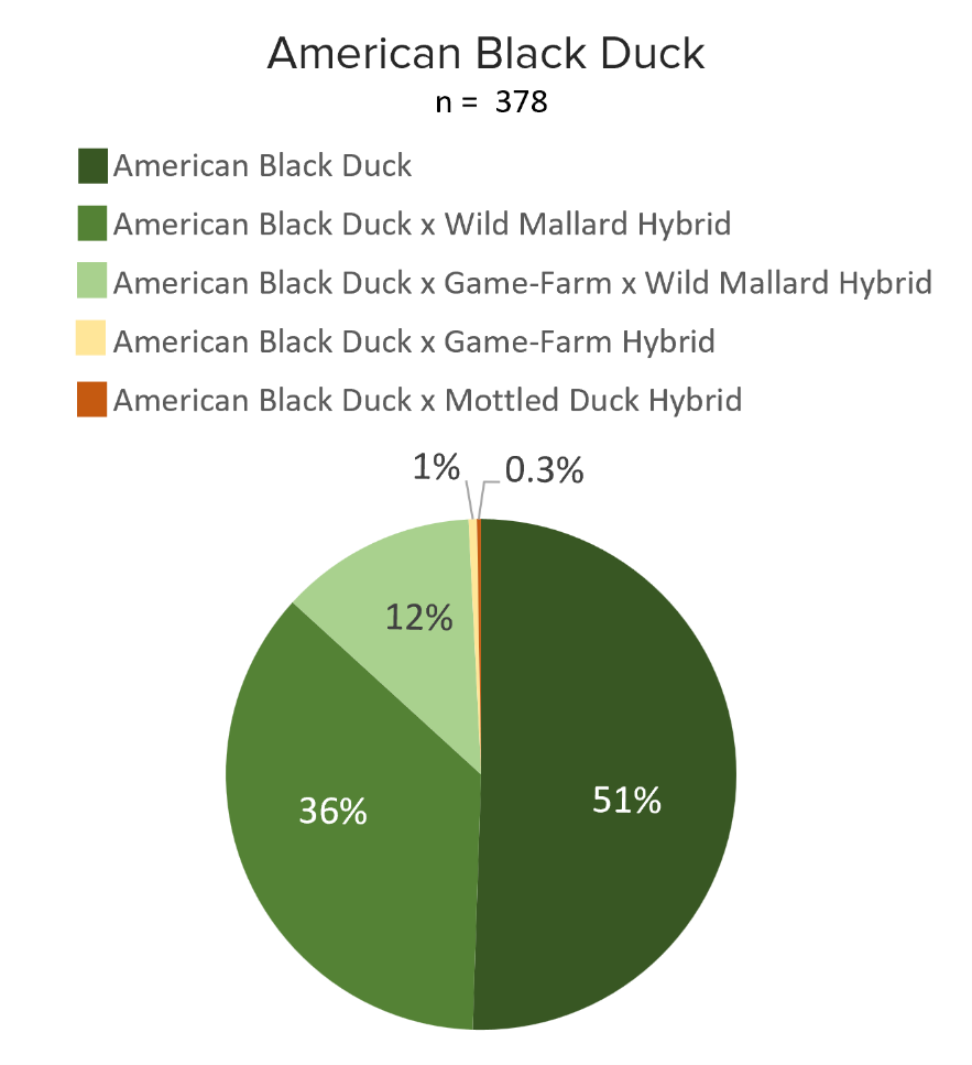 american_pie_chart_2026.png