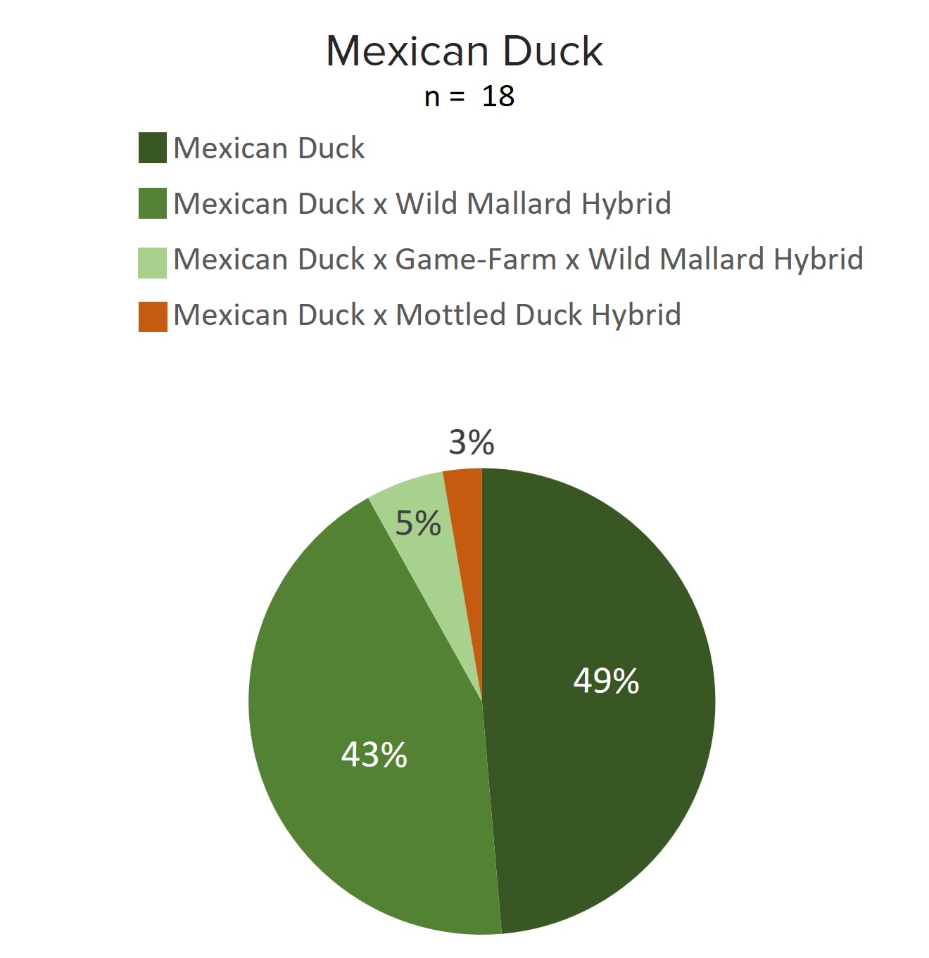 mexican_pie_chart.png