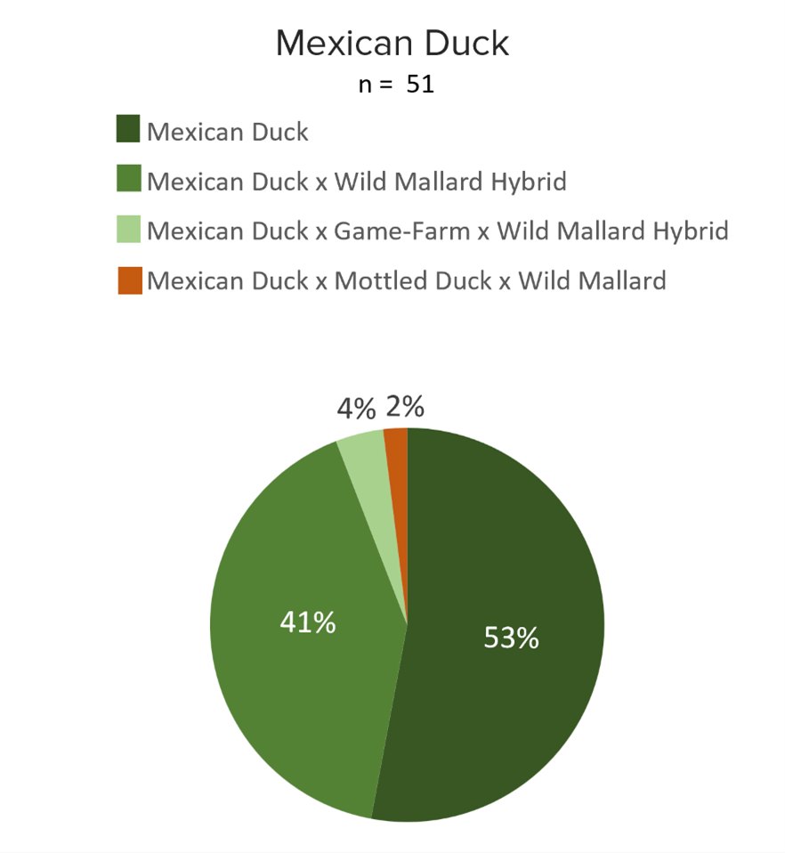mexican_pie_chart_2026.png