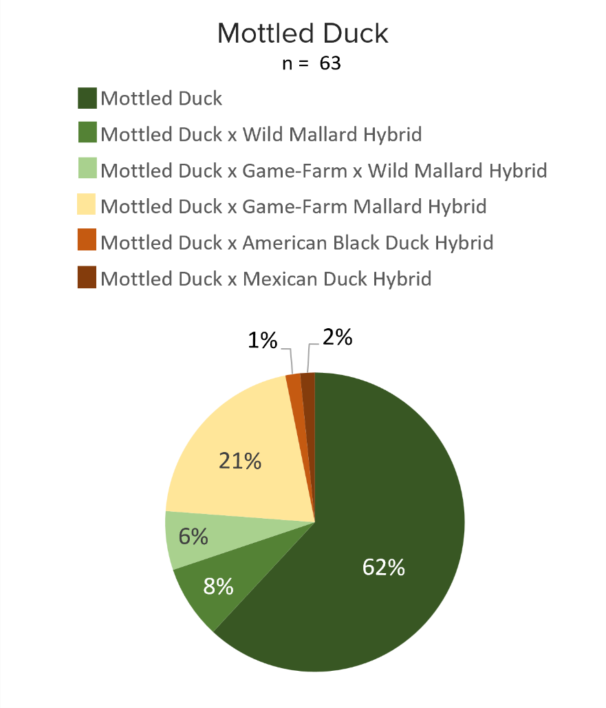 mottled_pie_chart_2026.png